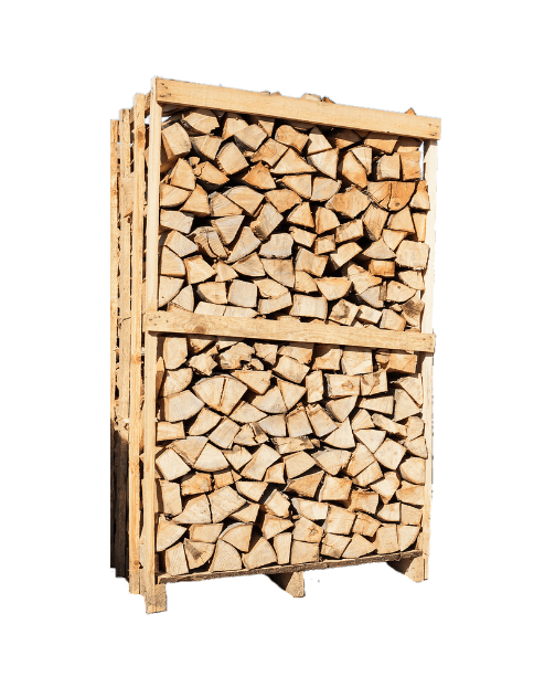 40 cm getrocknete Brennholzstämme – Buche- und Eichenmischung